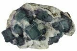 Pristine, Multicolored Fluorite Crystals on Quartz - China #164036-1